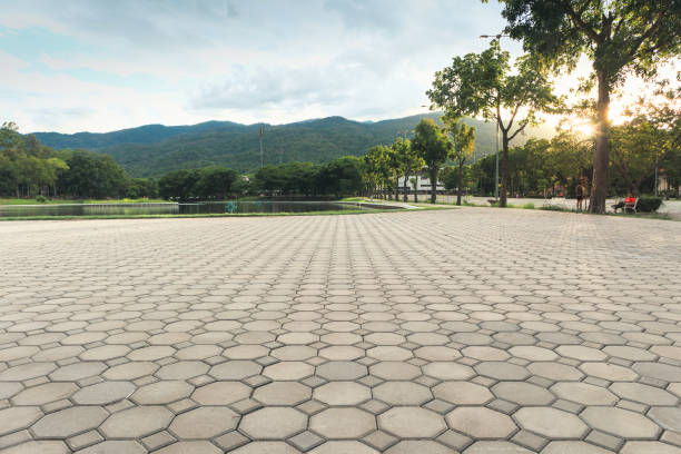 Best Best Driveway Pavers  in Paloma Creek, TX